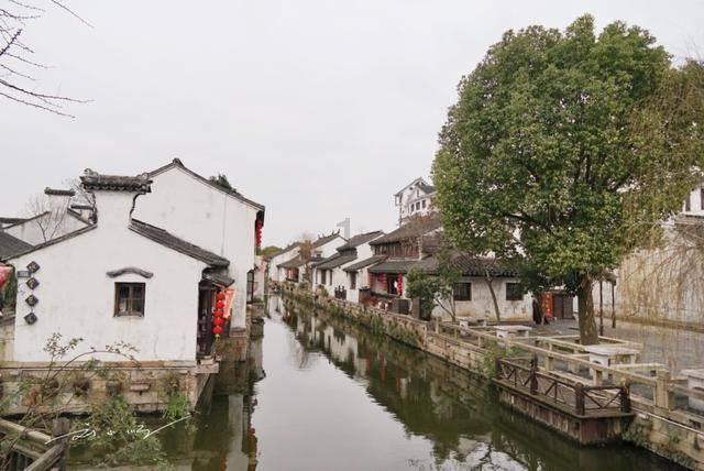 东京迷城
